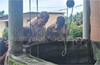Mangaluru: Brother detained after labourer&rsquo;s body found in well; murder suspected